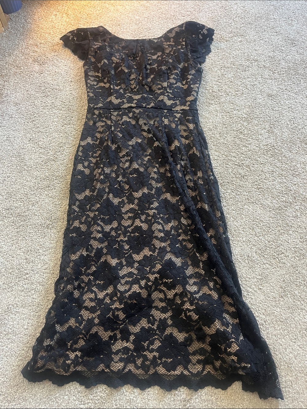 🎶🎼🎵ABS Black Lace Cap Flutter Sleeve Waisted Gather Neck V Back Sheath szS